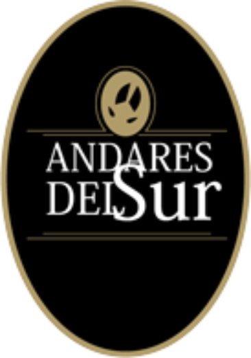 Andares del Sur